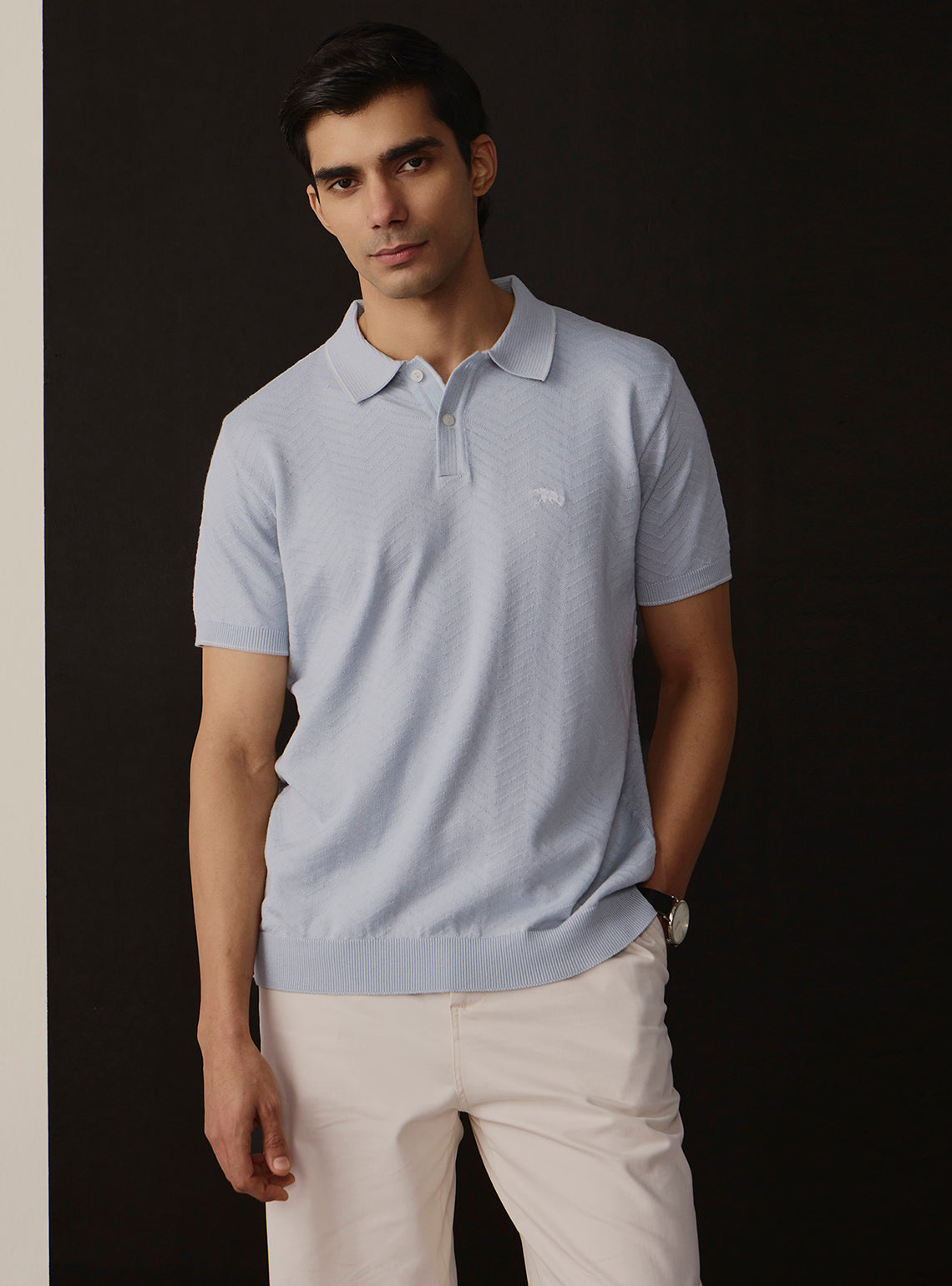 Regal Blue Cotton Chevron Polo