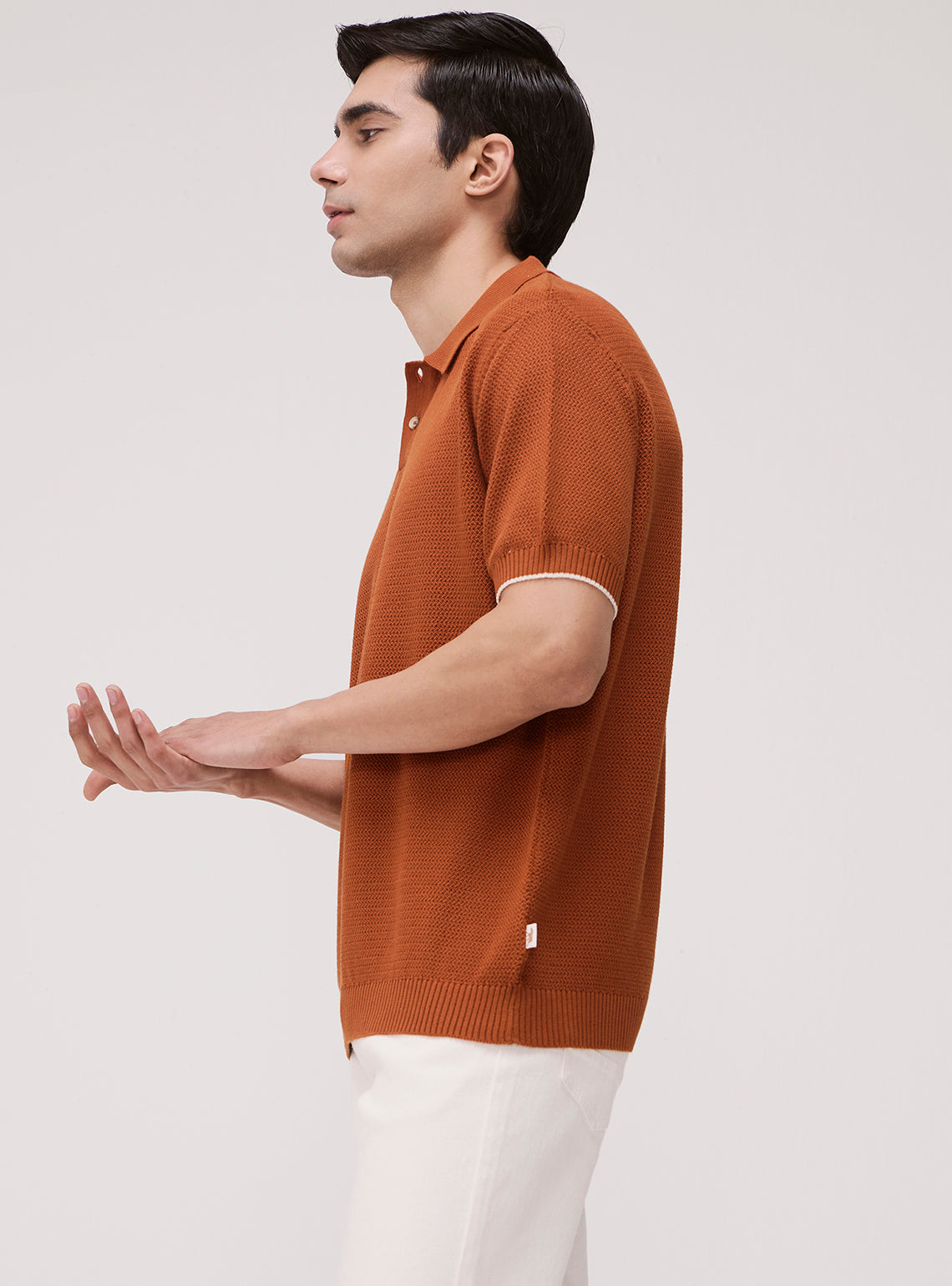 Walnut Brown Cotton Polo